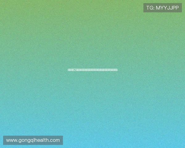 无主之地2存档修改器功能解析与安全使用全攻略指南深度实战技巧分享 无主之地2存档修改器功能解析与安全使用全攻略指南深度实战技巧分享