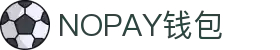 NOPAY钱包 - 数字钱包支付平台|安全便捷的移动支付